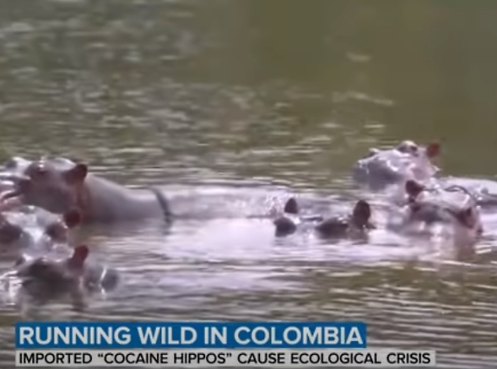 Immagine 2023-04-15 170704