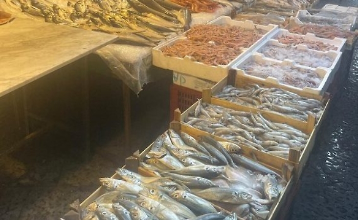 Sequestro pesce al mercato di Ballar&ograve;