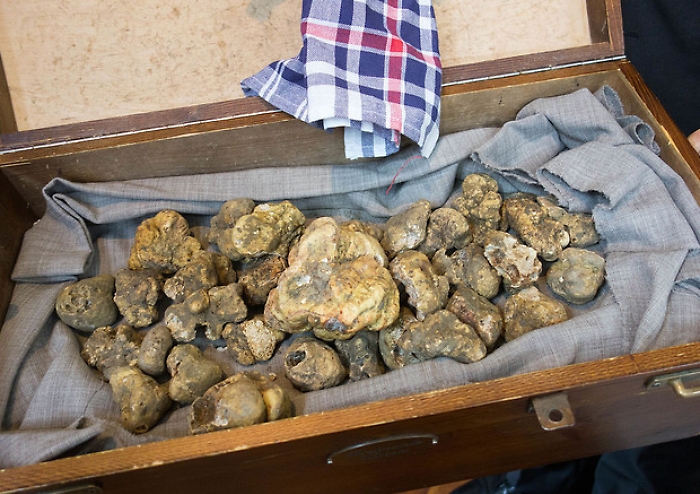 c2851fe4664c3239a456eefd6f193231