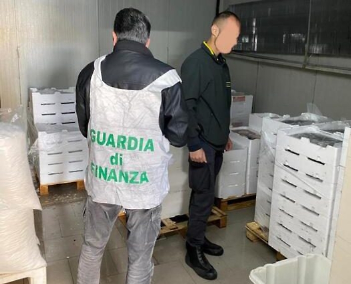 Sequestro di novellame di sarda a Messina