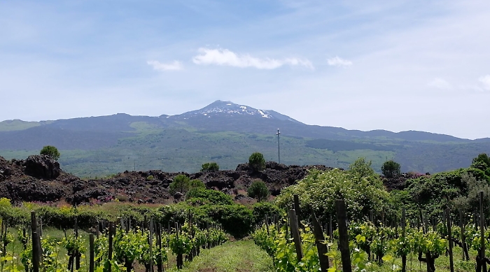 204114019_284435203434891_4711313563930648580_n