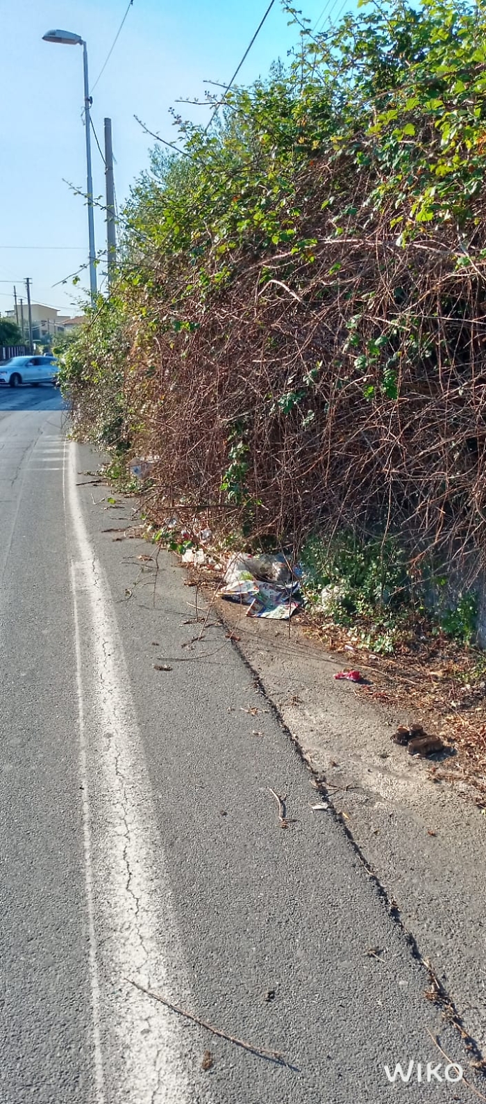 280531cc-3ddd-4316-a1ac-b8c299f299b2