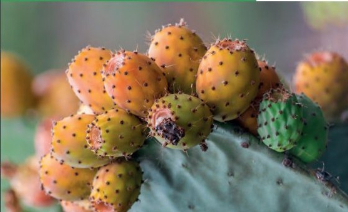 348546027_628945129113819_1422343288334080624_n