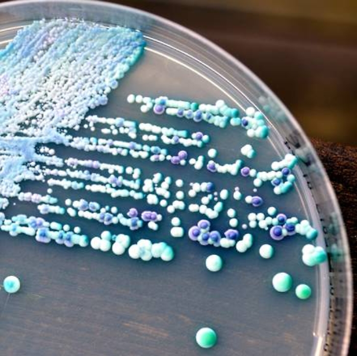 7ff8fed447e808079bcdaf041224f60f