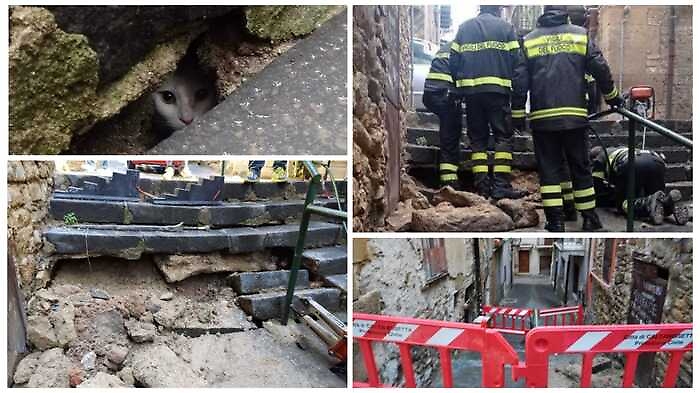 84c765ef1a1f6962249d77cbb31d1aa3