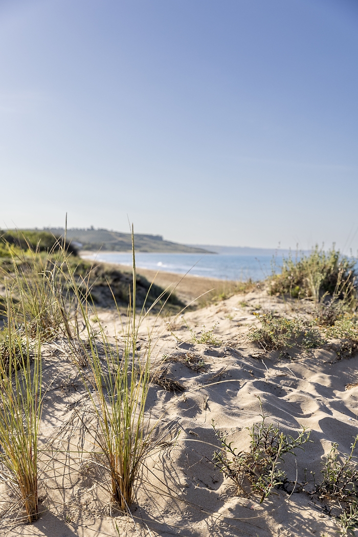 Insula_S6A7365_PlanetaEstate