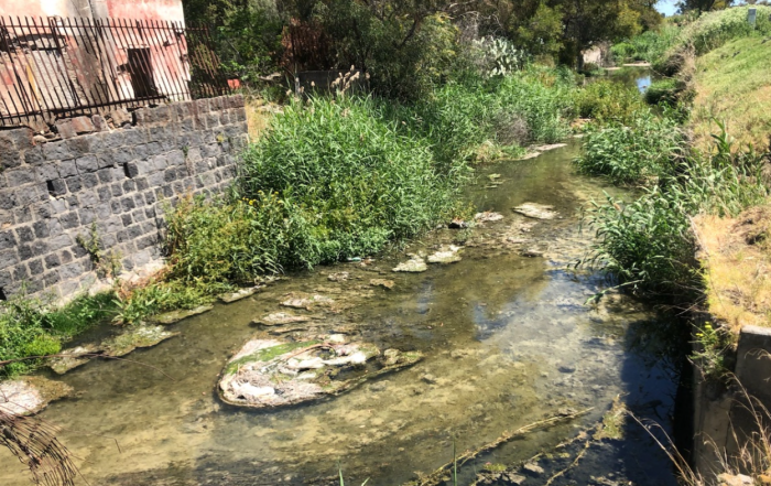 Torrenti che sfociano alla Plaia di Catania