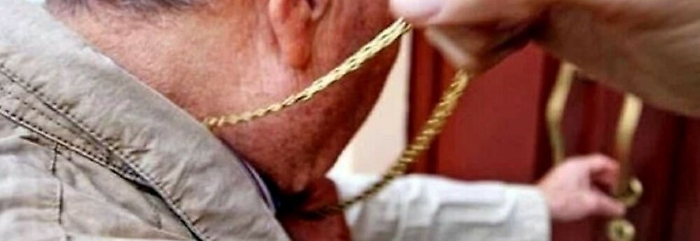 Collanina scippata, generico