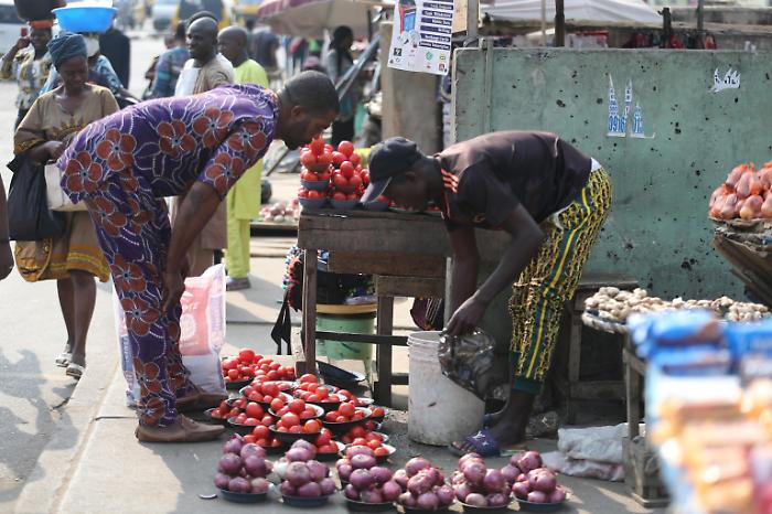 1686663302_e2e941b165173020231a