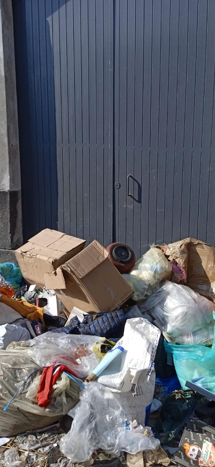 8d9d6dbf-0472-4990-93f4-79ec04b80d52