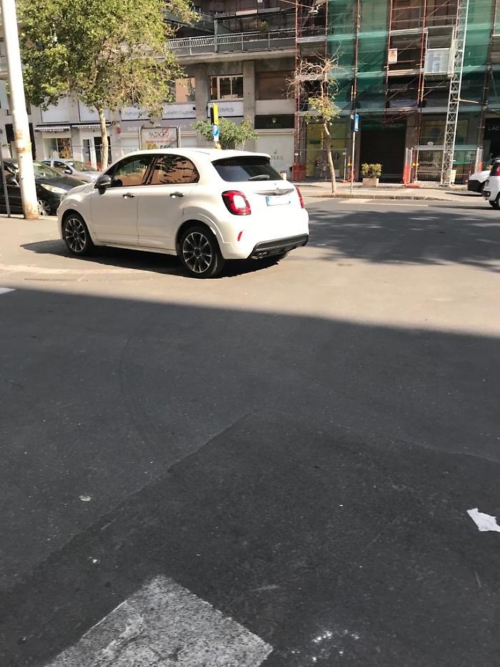 95d3b17f-6c04-4316-8859-2366e1d63eed