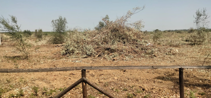 Piano antincendi a Catania