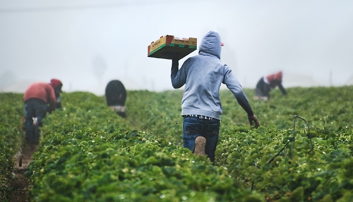 caporalato-friuli-venezia-giulia-1