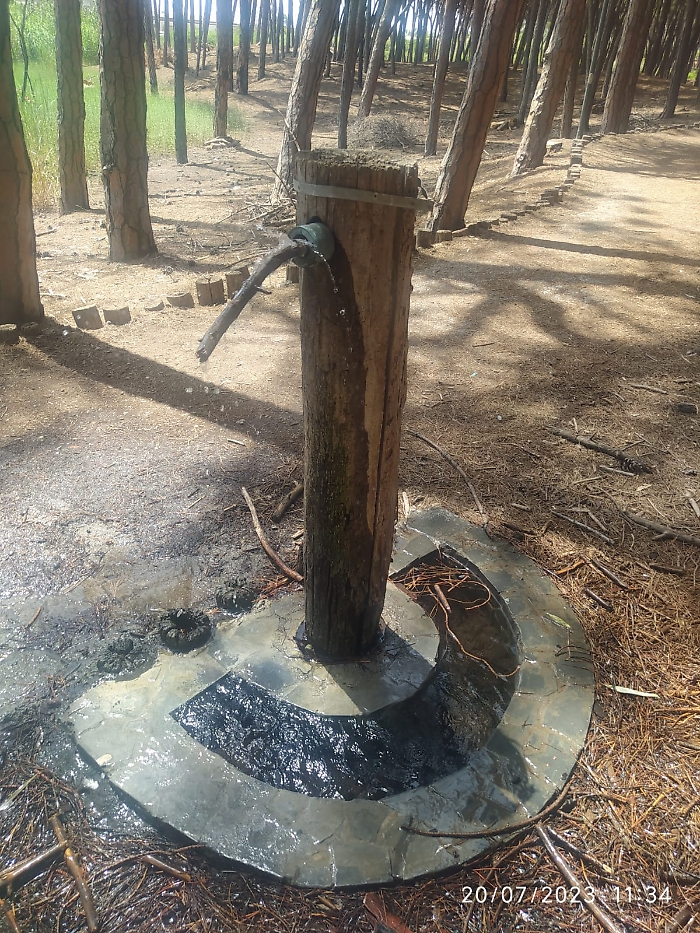 Al-boschetto-della-plaja-