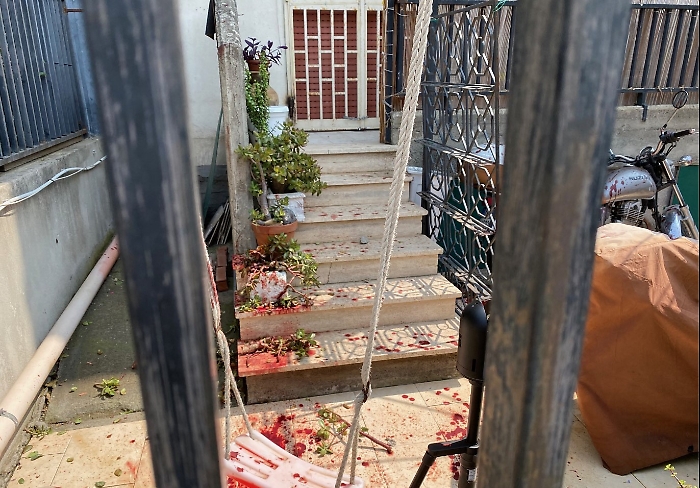 Immagine 2023-07-03 180014