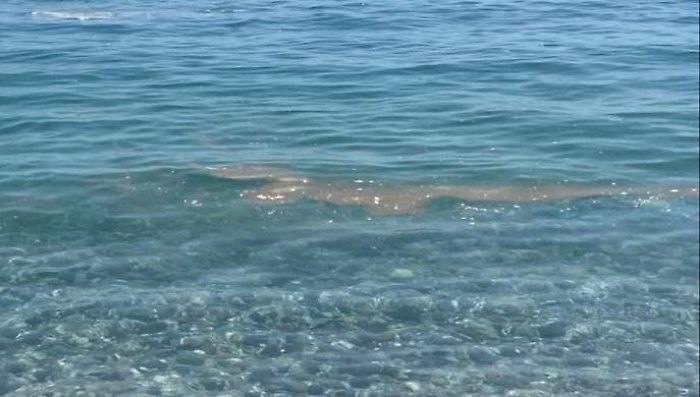 WhatsApp-Image-2023-07-09-at-13.00.49