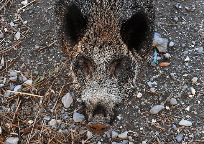 a44428bc0d1692fe7f8c1ad448741756