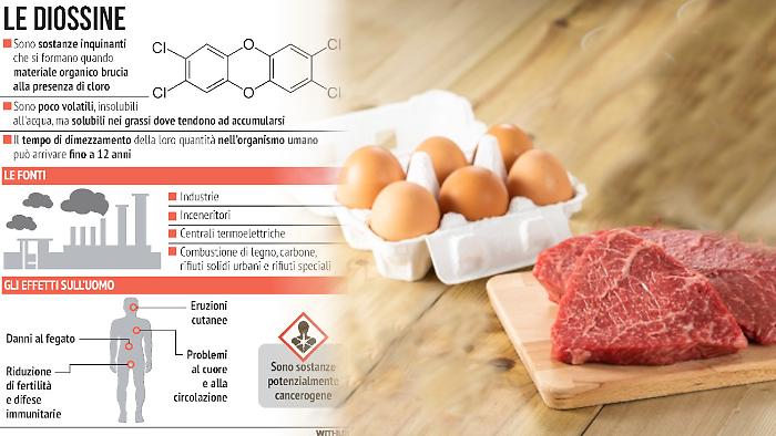 carne uova diossina