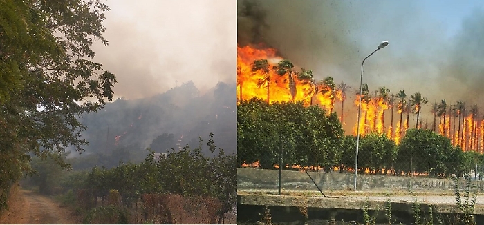 Incendi in Sicilia
