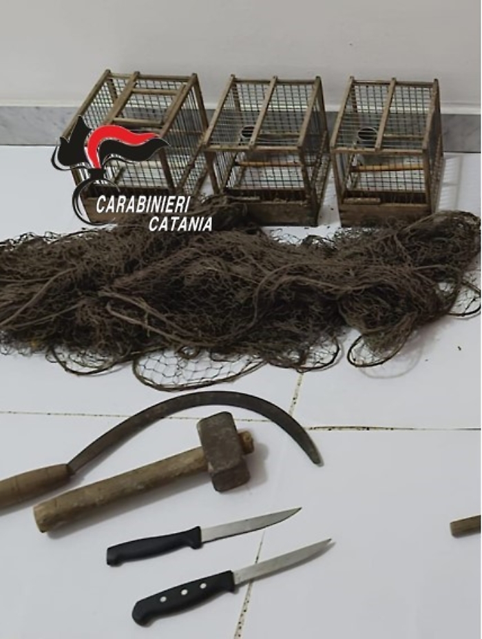 maltrattamento-animali-CC-Licodia-Eubea