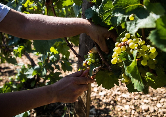 167592b0546036d6270ae98c99bc5355