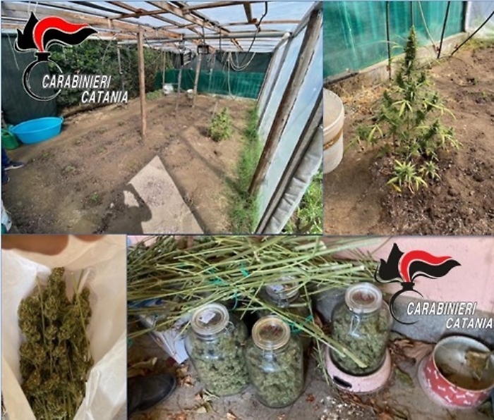 2-arresti-x-droga-CC-N.O.-Gravina-CT