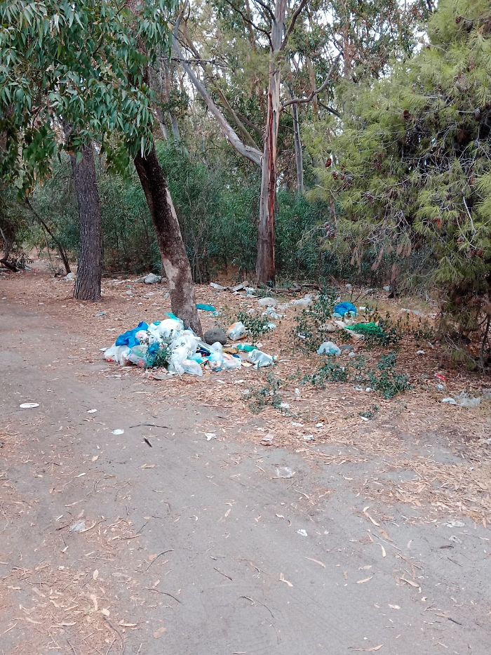 Rifiuti spiaggia San Marco