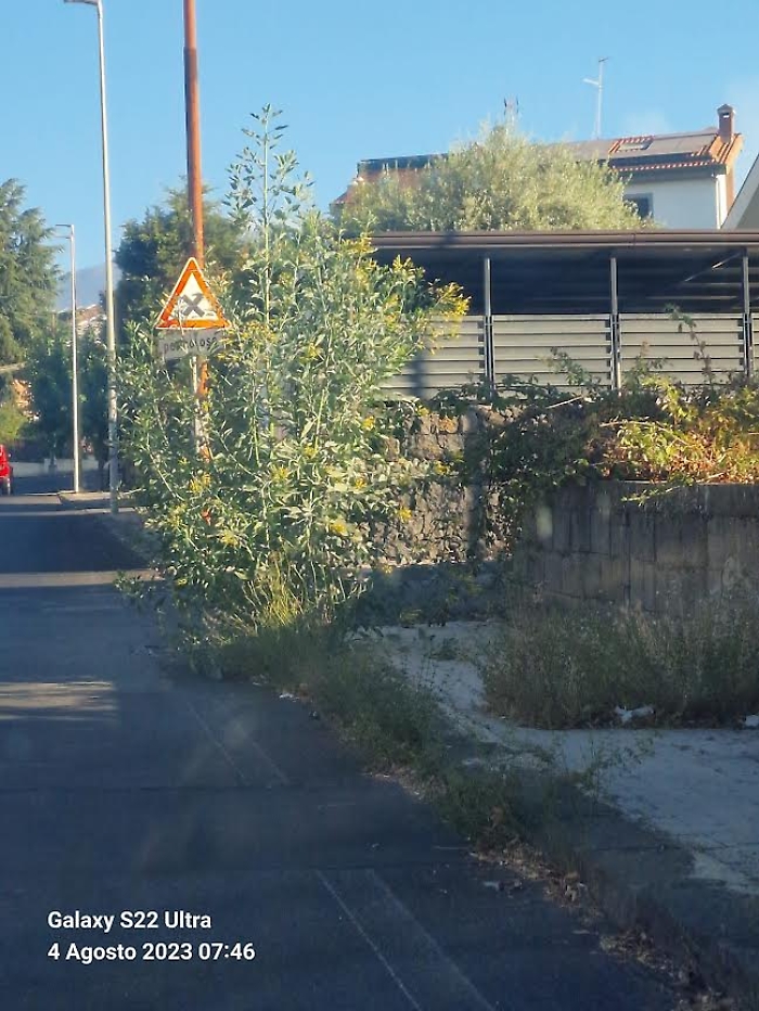 trecastagni corso marco polo vegetazione incolta