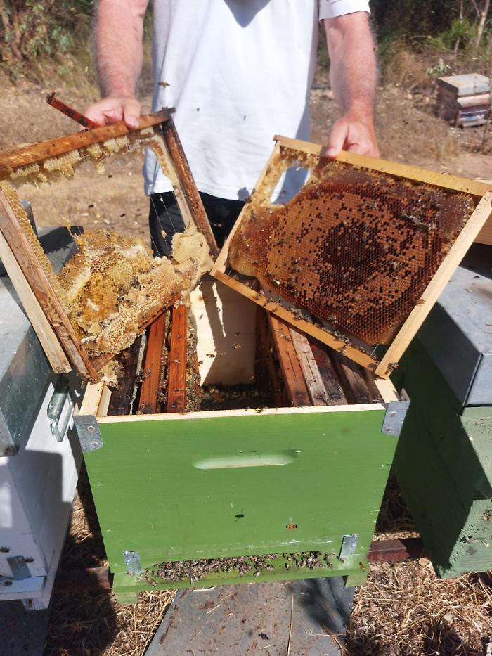 1695468311_12d78fbf995a0ec52af8