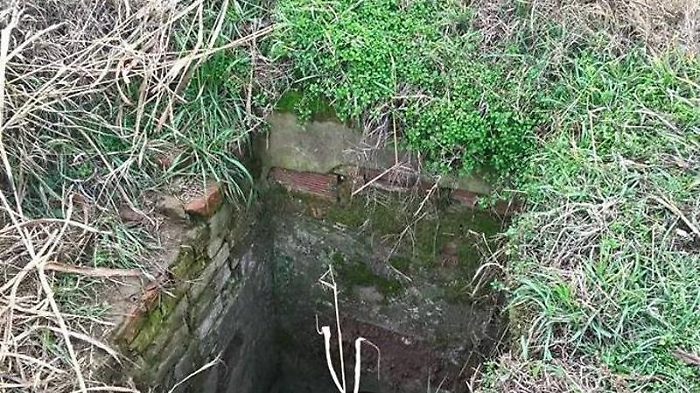 180113734-10c95f3f-6f5f-408e-be69-4cded3f3a678