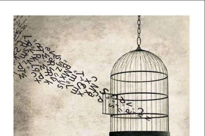 63b1395976f1630255ea84ce4d1135e2