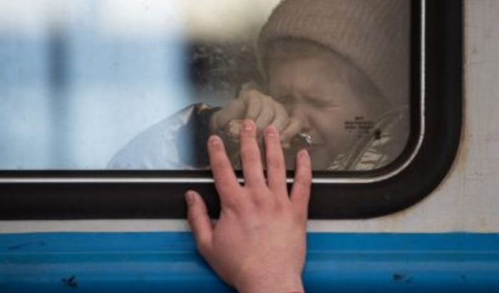 Immagine 2023-09-23 222443