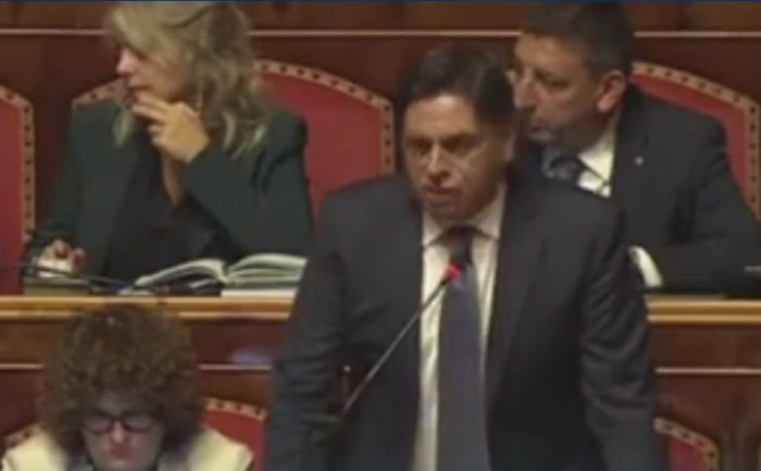 Il senatore Salvo Pogliese in Aula