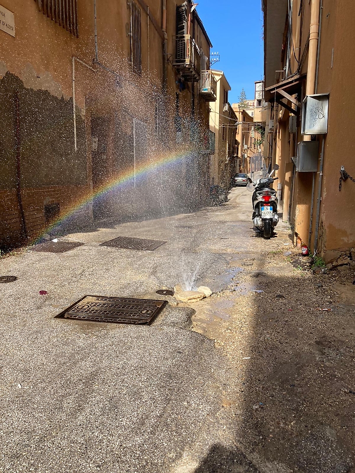 WhatsApp Image 2023-09-14 at 10.05.00