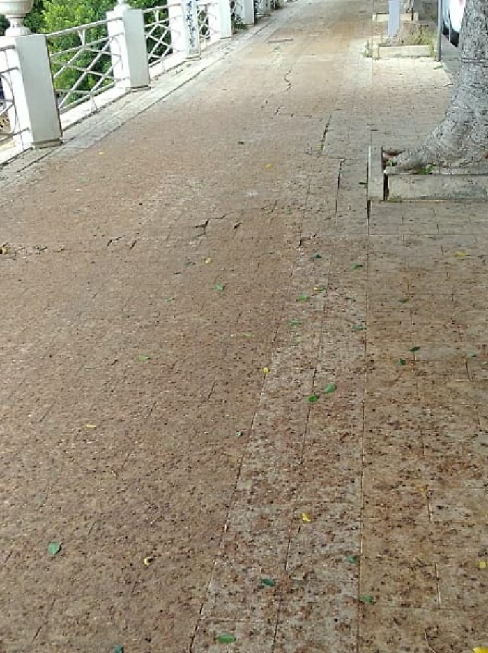 WhatsApp-Image-2023-09-23-at-15.14.23