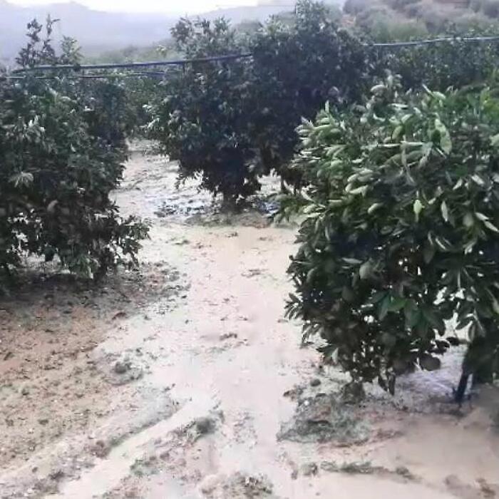 a1cece974f37c0d7be8af4b7b20255f3