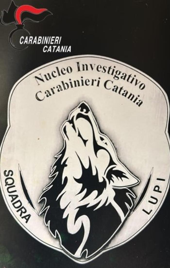 A Catania i "Lupi" dei carabinieri arrestano 3 pusher