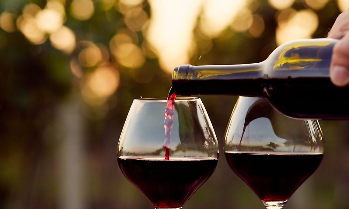 foto_vino connect sicilia