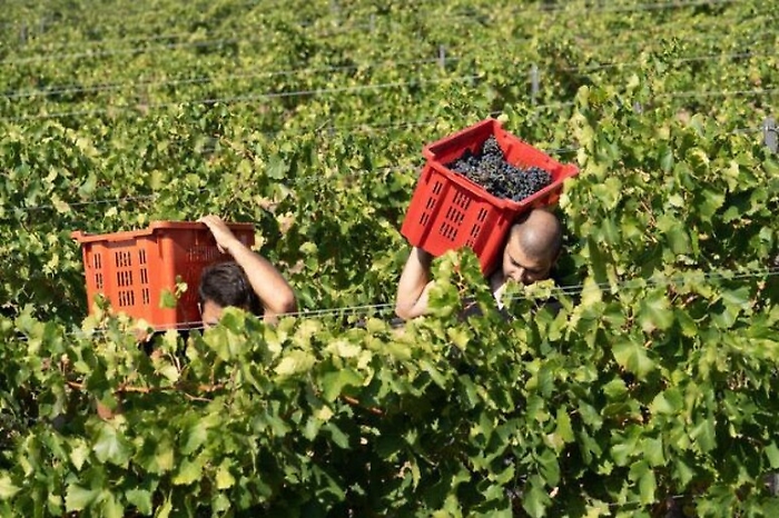 1c2140388de9654bb4a32acef7494b10