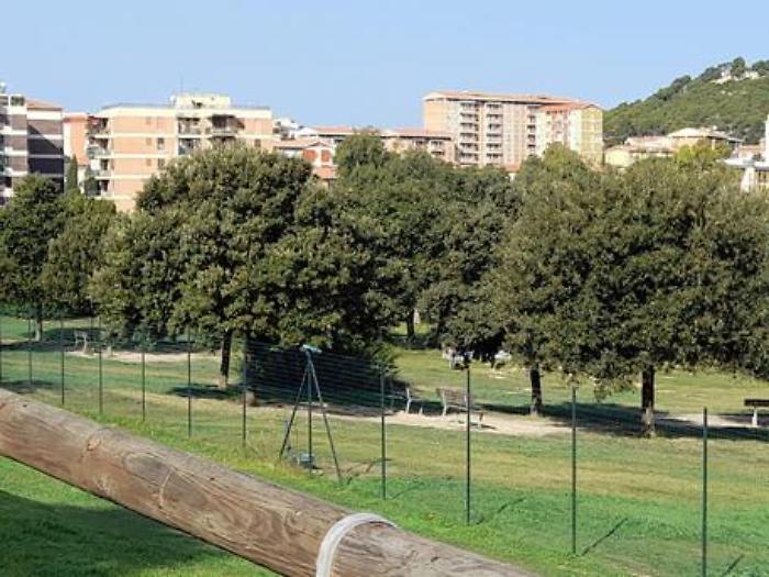 Parco di Monte Claro, area cani