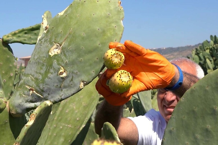 51cbd08fa676dfbfa6caf91e298863b2