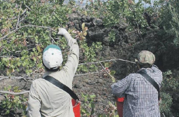 Screenshot 2023-10-03 123548