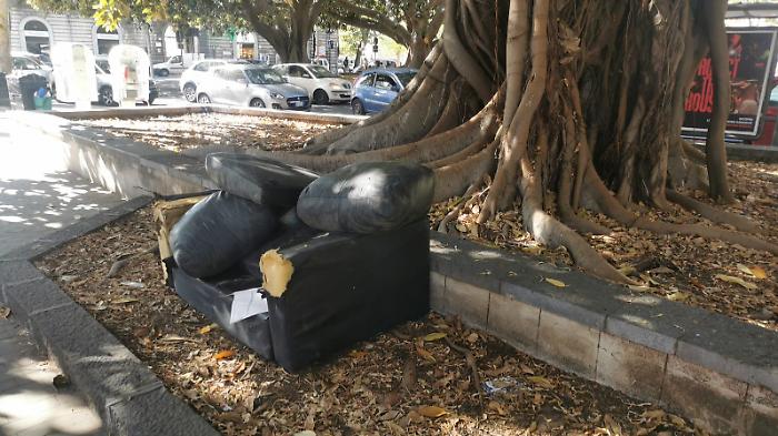 WhatsApp Image 2023-10-03 at 10.30.50