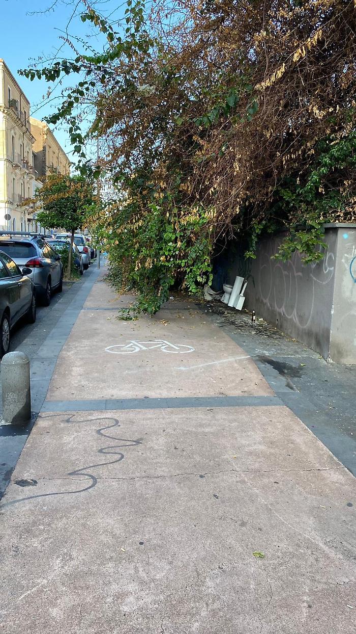 WhatsApp Image 2023-10-22 at 12.40.57