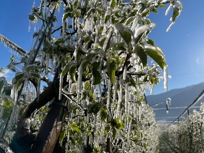 1700912102_6a96006df9d9200645d2