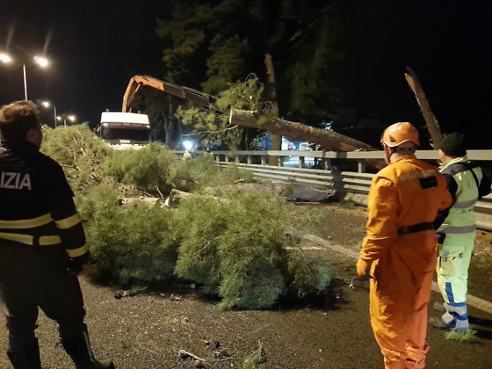 1700992502_1e85f4d8b49d20a0b984