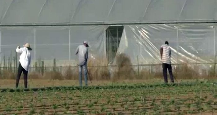 2ede68ae4ab7963e69cea01fa2a32485