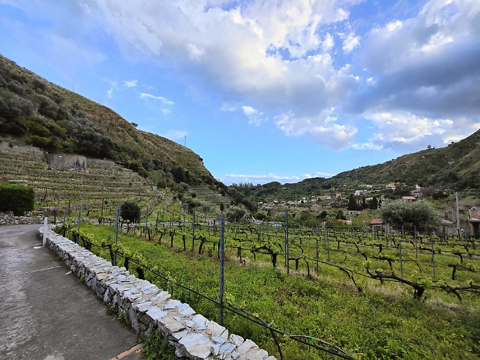 341465330_524360806576369_5857788368333924674_n