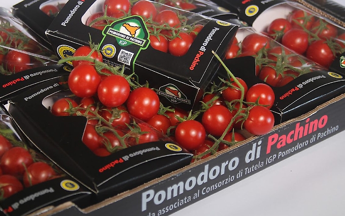 342989591_555927716706859_6279027499541686891_n