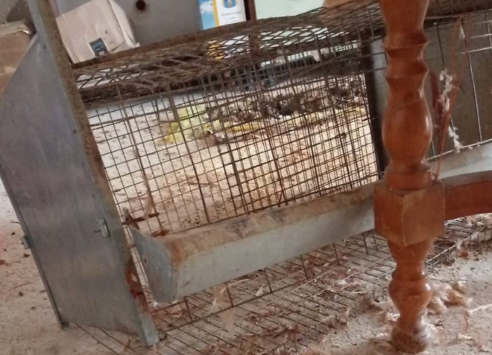 405807659_1342046839763743_4549659722236918302_n